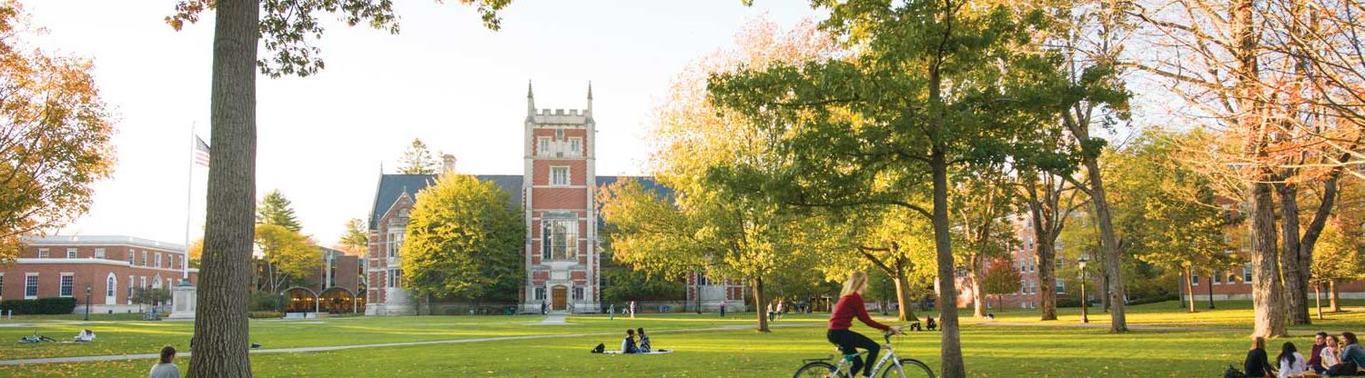 View of Bowdoin quad in the fall